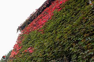 Immagine Photo Contest 2025