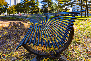 Immagine Photo Contest 2025