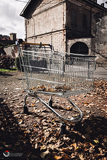 Immagine Photo Contest 2025