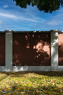 Immagine Photo Contest 2025