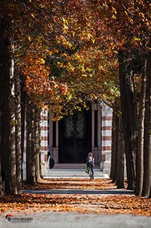 Immagine Photo Contest 2025