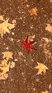 Immagine Photo Contest 2025