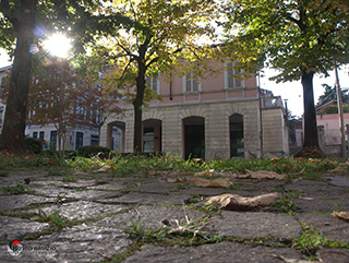 Immagine Photo Contest 2025