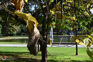 Immagine Photo Contest 2025