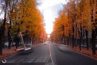 Immagine Photo Contest 2025