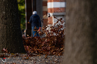 Immagine Photo Contest 2025