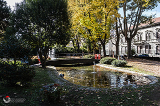 Immagine Photo Contest 2025