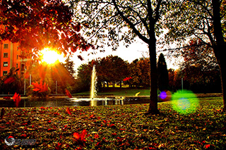 Immagine Photo Contest 2025