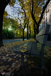 Immagine Photo Contest 2025