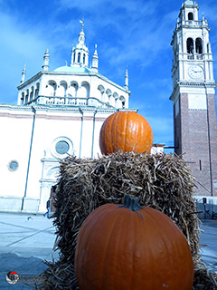 Immagine Photo Contest 2025