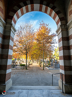 Immagine Photo Contest 2025