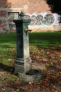 Immagine Photo Contest 2025