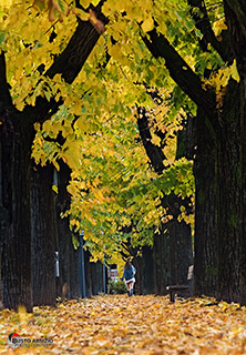 Immagine Photo Contest 2025