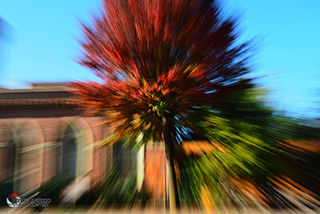 Immagine Photo Contest 2025