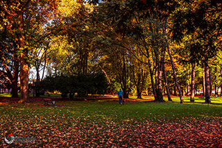 Immagine Photo Contest 2025