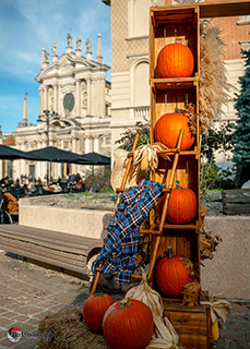 Immagine Photo Contest 2025