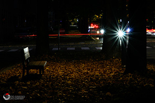 Immagine Photo Contest 2025