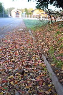 Immagine Photo Contest 2025