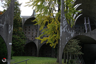 Immagine Photo Contest 2025