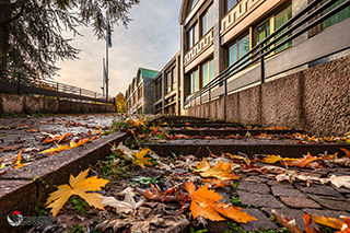 Immagine Photo Contest 2025