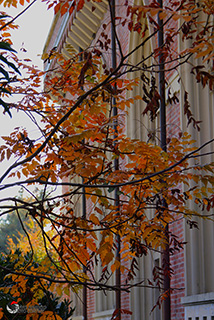 Immagine Photo Contest 2025