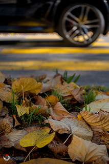 Immagine Photo Contest 2025