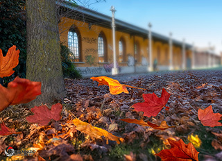 Immagine Photo Contest 2025