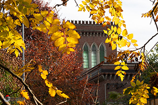 Immagine Photo Contest 2025