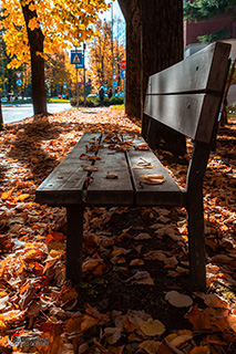 Immagine Photo Contest 2025