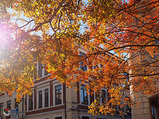 Immagine Photo Contest 2025