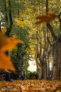 Immagine Photo Contest 2025