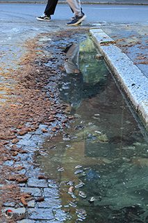 Immagine Photo Contest 2025