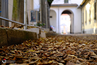 Immagine Photo Contest 2025