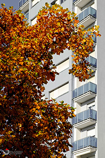 Immagine Photo Contest 2025