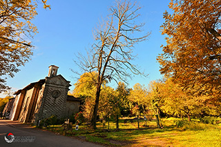 Immagine Photo Contest 2025