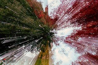 Immagine Photo Contest 2025