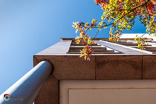 Immagine Photo Contest 2025