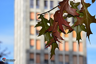 Immagine Photo Contest 2025