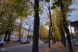 Immagine Photo Contest 2025