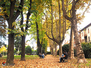 Immagine Photo Contest 2025