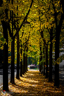 Immagine Photo Contest 2025