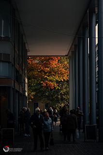 Immagine Photo Contest 2025