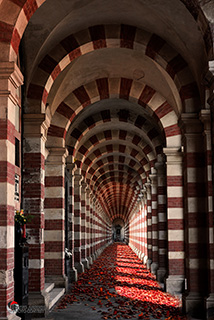 Immagine Photo Contest 2025