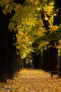 Immagine Photo Contest 2025