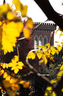 Immagine Photo Contest 2025