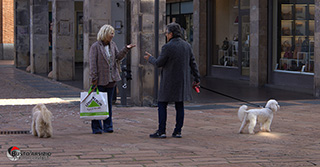 Immagine Photo Contest 2025