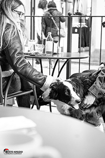 Immagine Photo Contest 2025