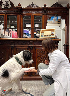 Immagine Photo Contest 2025