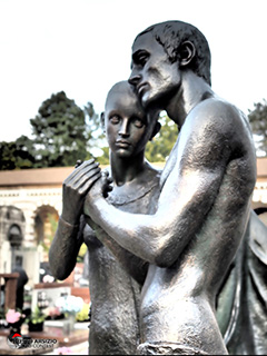 Immagine Photo Contest 2025