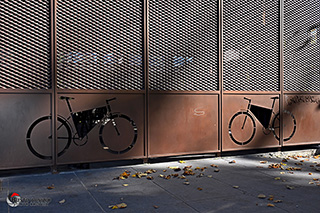 Immagine Photo Contest 2025